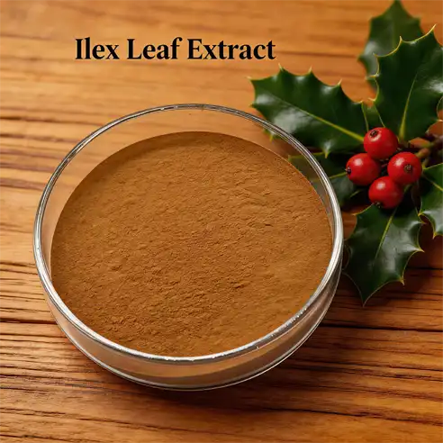 How to Use Ilex Leaf Extract in Supplements？